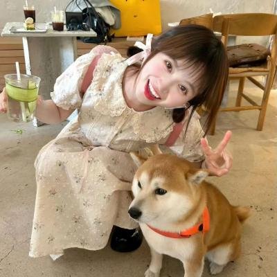 狗仔窥视界
